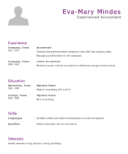 Accountant Resume