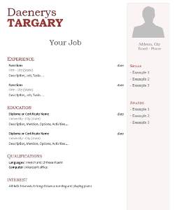 Modern Sidebar Resume